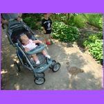 Ava Looking At bird.jpg